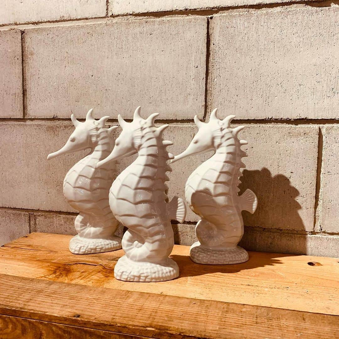 eight o eight さんのインスタグラム写真 - (eight o eight Instagram)「𓇼。°.・。  sea horse 陶器 objet  size 約27×14cm  1コ ¥5,610  3コ ¥13,200  DMにて お問い合わせください ☑︎通販可能」1月28日 14時25分 - 808store