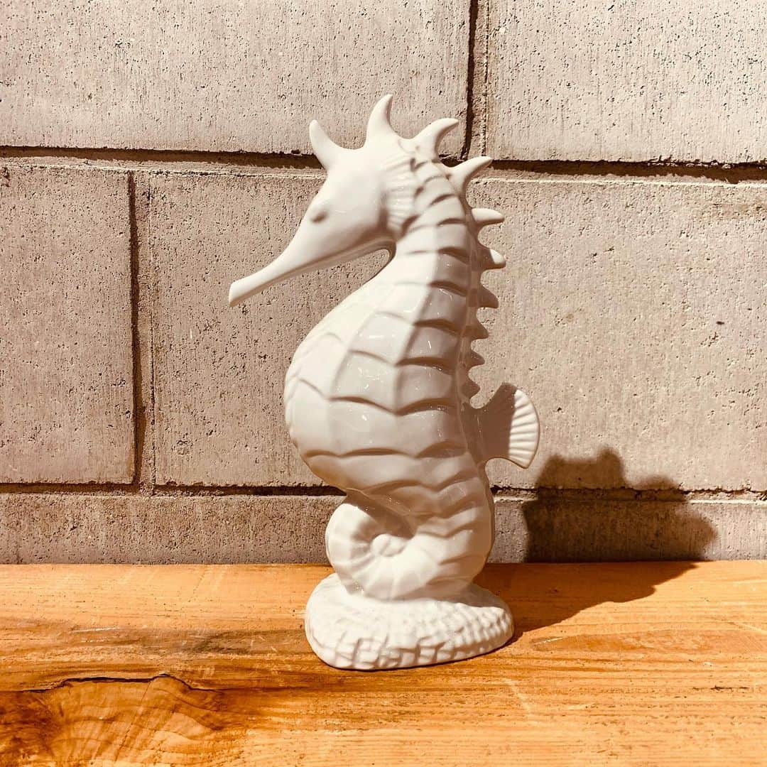 eight o eight さんのインスタグラム写真 - (eight o eight Instagram)「𓇼。°.・。  sea horse 陶器 objet  size 約27×14cm  1コ ¥5,610  3コ ¥13,200  DMにて お問い合わせください ☑︎通販可能」1月28日 14時25分 - 808store