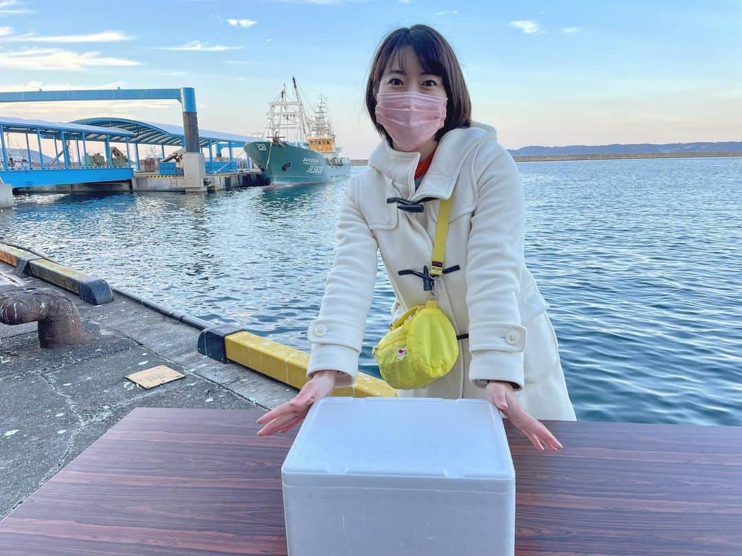 藤坂奈央さんのインスタグラム写真 - (藤坂奈央Instagram)「. あす朝8時の朝だ！生です旅サラダは 長崎県松浦市から✨✨ . アジだけじゃない！？ 今が旬のお魚が登場しますよ〜🐟 ぜひご覧ください😘 . #朝だ生です旅サラダ #長崎県松浦市 #藤坂奈央 #寒さに負けないぞ！」1月28日 17時26分 - naofujisaka_