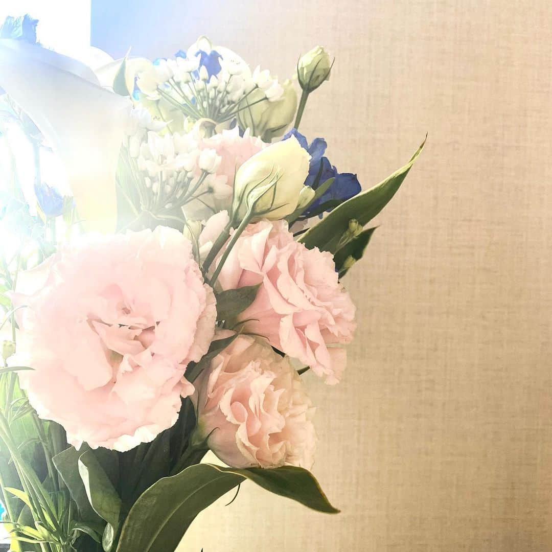 のインスタグラム：「久しぶりにお花をいただいて とってもうれしかった🥺🤍」