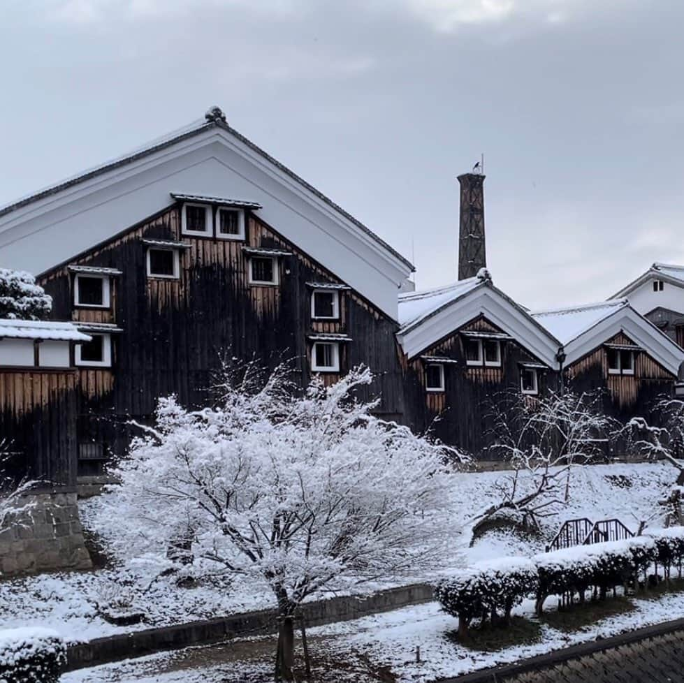 Gekkeikan Sake Officialのインスタグラム：「#snow #snowy #snowscape #snowworld #winter #gekkeikan #gekkeikansake #sake #japanesesake #sakebrewery #sakegram #japan #kyoto #fushimi #cooljapan #japanesestyle #雪 #雪景色 #月桂冠 #月桂冠大倉記念館 #日本酒 #清酒 #酒蔵 #京都 #伏見」