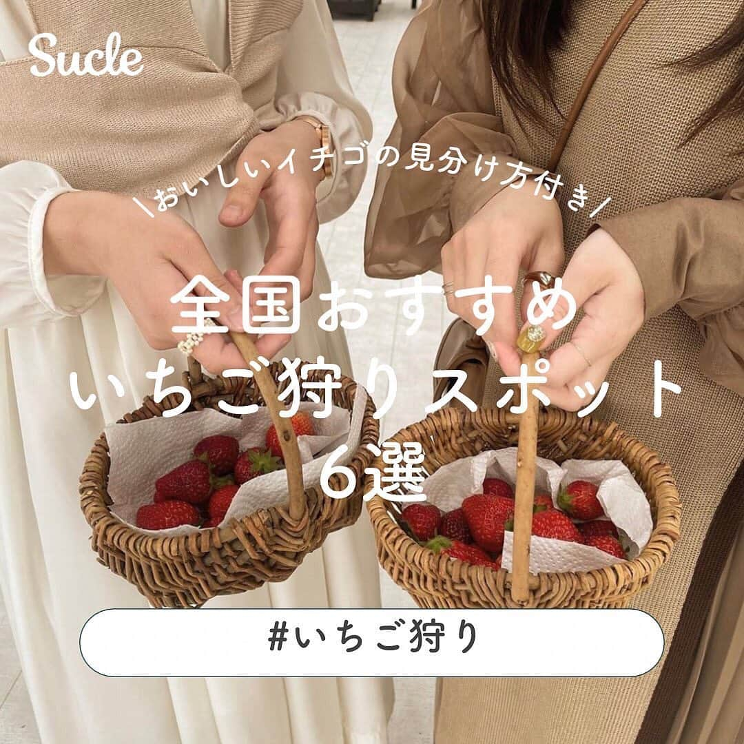 SUCLEのインスタグラム