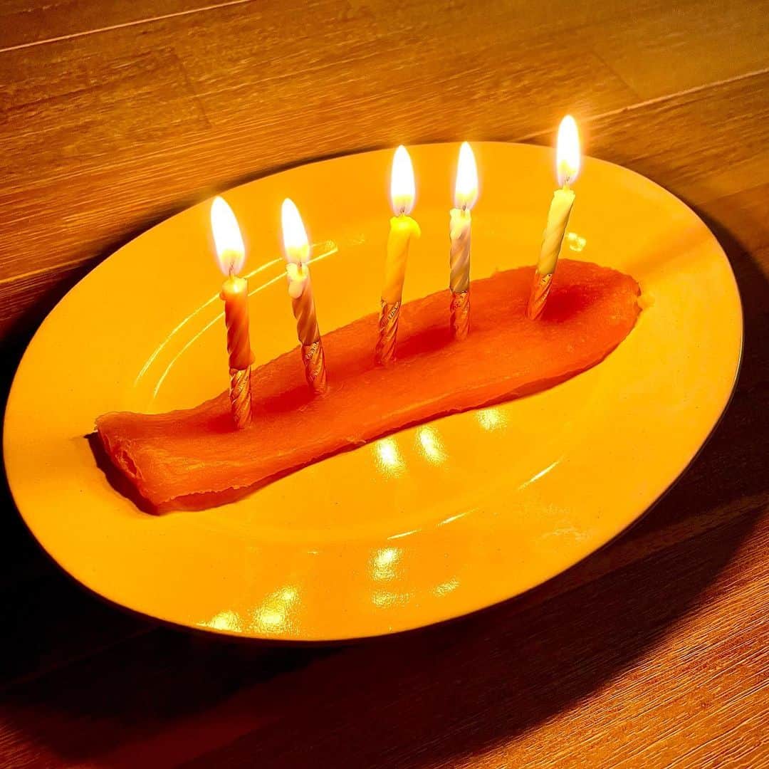長田庄平のインスタグラム：「やっぱり誕生日はバースデー干し芋ですよね✨🕯🍠🕯✨  #誕生日 #干し芋 #バースデー干し芋 #happybirthday」