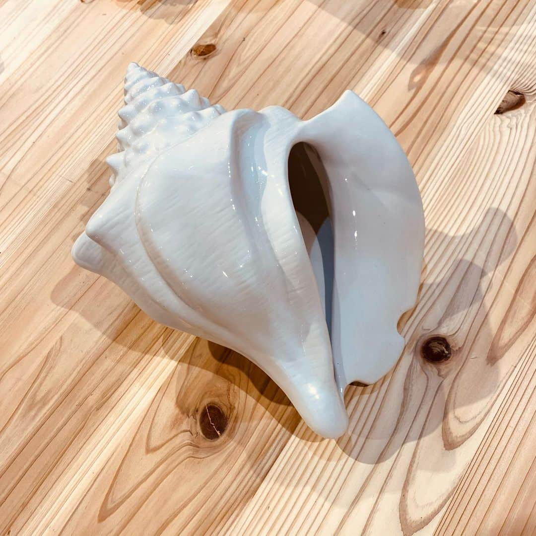 eight o eight さんのインスタグラム写真 - (eight o eight Instagram)「🐚  shell objet  size 約22×30cm  陶器  ￥7,700  ☑︎通販可能 DMにてお問合せください」1月29日 8時07分 - 808store