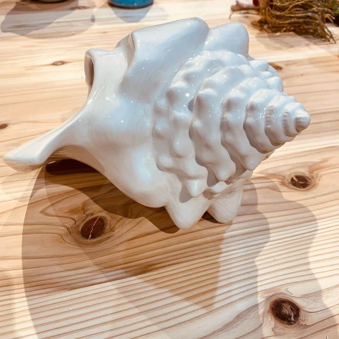 eight o eight さんのインスタグラム写真 - (eight o eight Instagram)「🐚  shell objet  size 約22×30cm  陶器  ￥7,700  ☑︎通販可能 DMにてお問合せください」1月29日 8時07分 - 808store