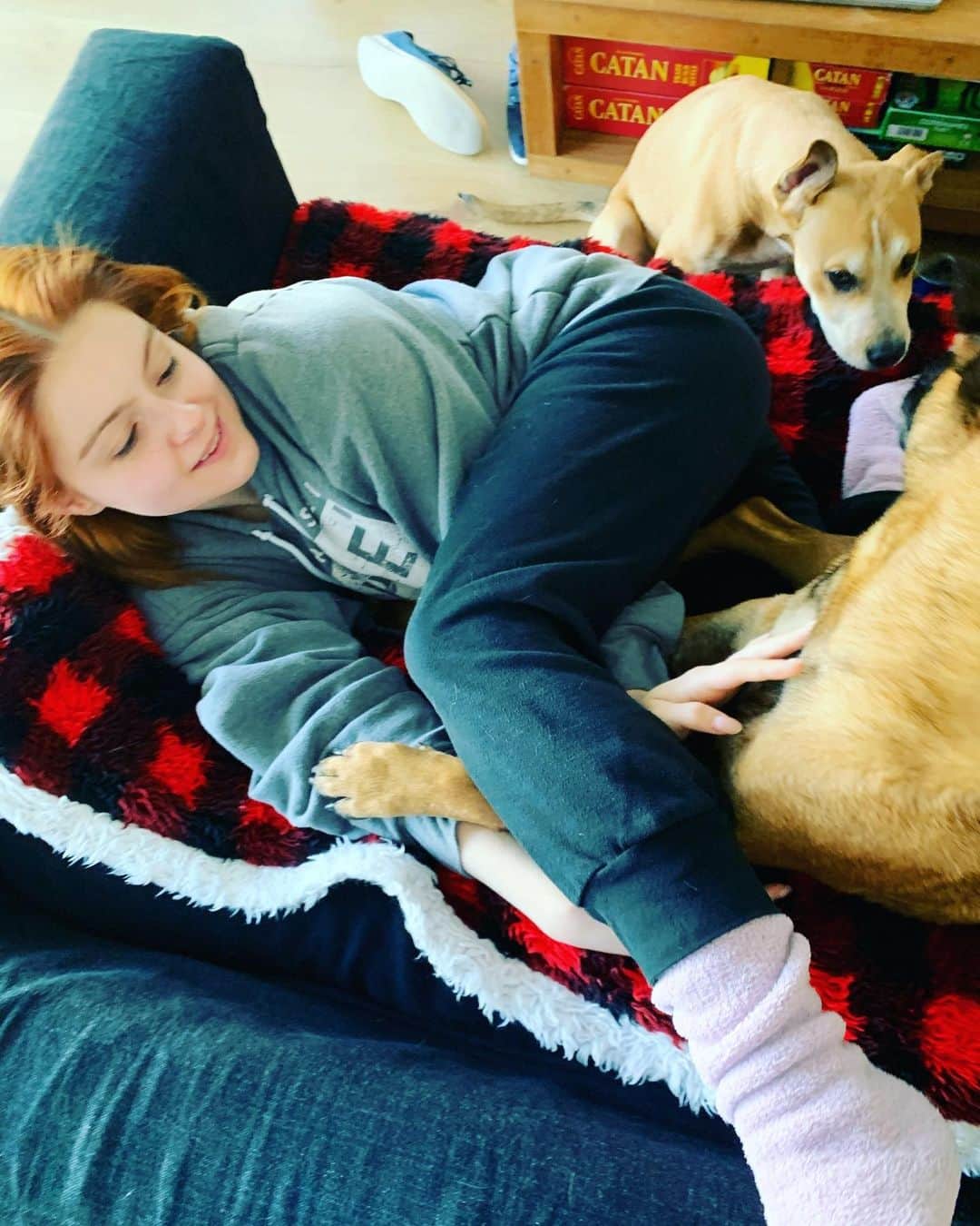 ルーク・ベンワードのインスタグラム：「@arielwinter likes pooting on the puppy. Happy Birthday bunny ❤️❤️  I love you」