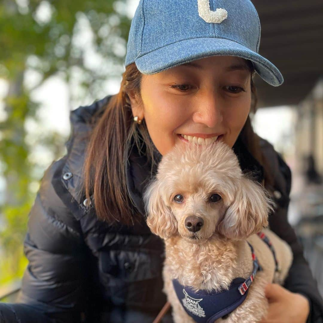 矢田亜希子さんのインスタグラム写真 - (矢田亜希子Instagram)「お散歩した1日♪ #お散歩#愛犬#toypoodle #トイプードル#犬友#labradorretriever #lab#ラブラドールレトリバー #仲良し#アディくん#もなちゃん#癒し時間#私の唯一の運動w」1月29日 20時21分 - akiko_yada