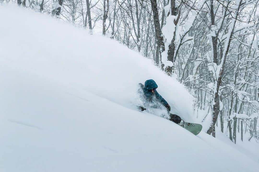 中井孝治さんのインスタグラム写真 - (中井孝治Instagram)「今日は風の影響が少ない森の中へ。  雪は少し水分を含んでいる砂のようなズブズブなパウダー。 ノーズが一度雪の下に潜ると出にくい、スピードがつきにくいコンディションでも、見た目以上に大きく綺麗にラウンドしているHPStakaのノーズは、どんな雪でも簡単に浮き、ポップスター機能のおかげで楽に取り回す事ができます。  まだ体感していない方、体感したい方は試乗会で是非試してみてください。  北海道試乗会は2月のルスツがあります🏔  📸　@tsutomunakata   @salomonsnowboards  @salomonsnowboardsjapan  #salomonsnowboardsjapan」1月29日 19時10分 - takaharunakai