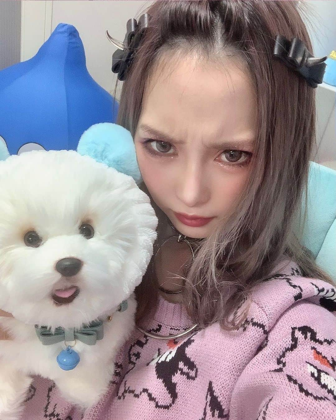 らむめろさんのインスタグラム写真 - (らむめろInstagram)「フォーチュンと🤍🐶 ⁡ ⁡ ⁡ #code #fashion #selfie #안녕 #라무메로 #pokemon #ゲンガー #ゲンガーニット #gengar #gengarpokemon #粗品」1月29日 20時10分 - ramumero_