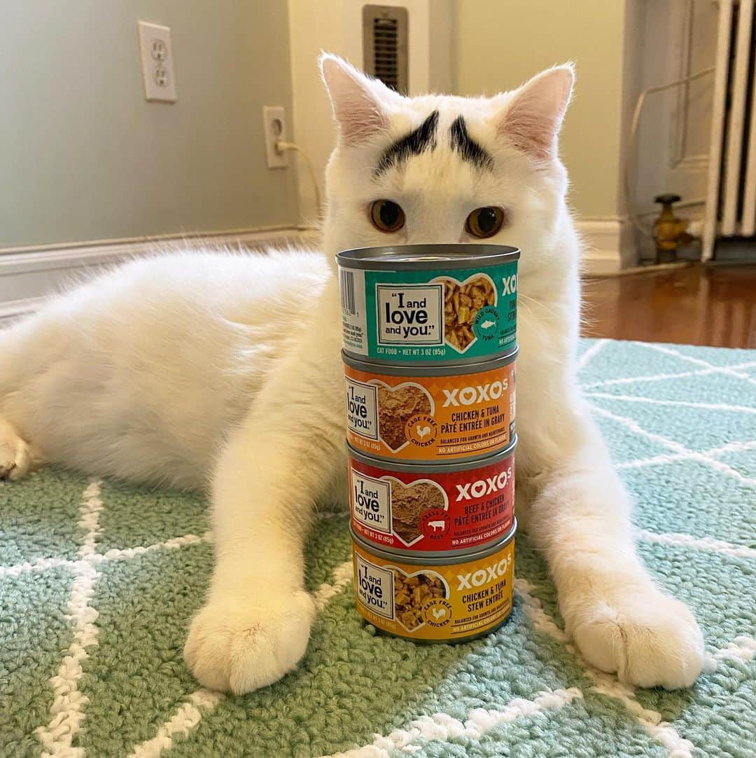 Samのインスタグラム：「Sam is very protective over his @iandloveandyoupet food 😂 We’re obsessed with grain free and holistic and we’re so grateful that Sam LOVES the taste! Link in profile for you to try their new variety packs and use code EYEBROWS20 for 20% off!」