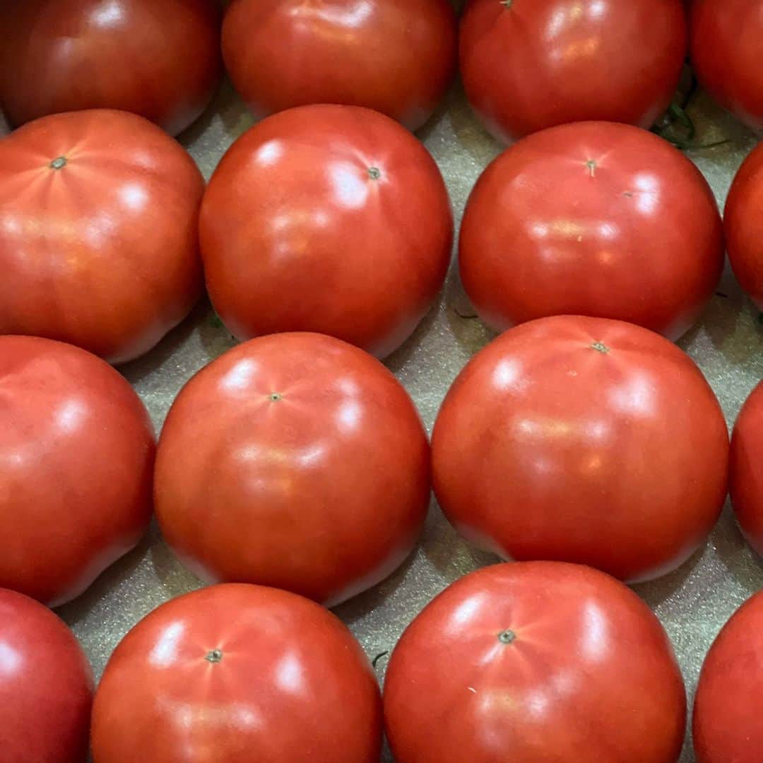 岸本加世子のインスタグラム：「静岡産フルーツトマト🍅 美味しんぼ７巻に取り上げられた石山農園の完熟フルーツトマト。#道の駅掛川」