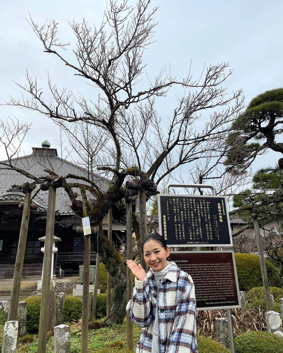 関根麻里のインスタグラム