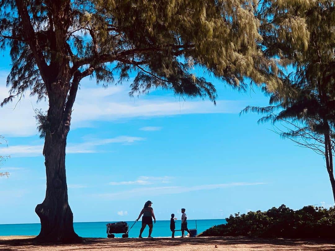 平岳大のインスタグラム