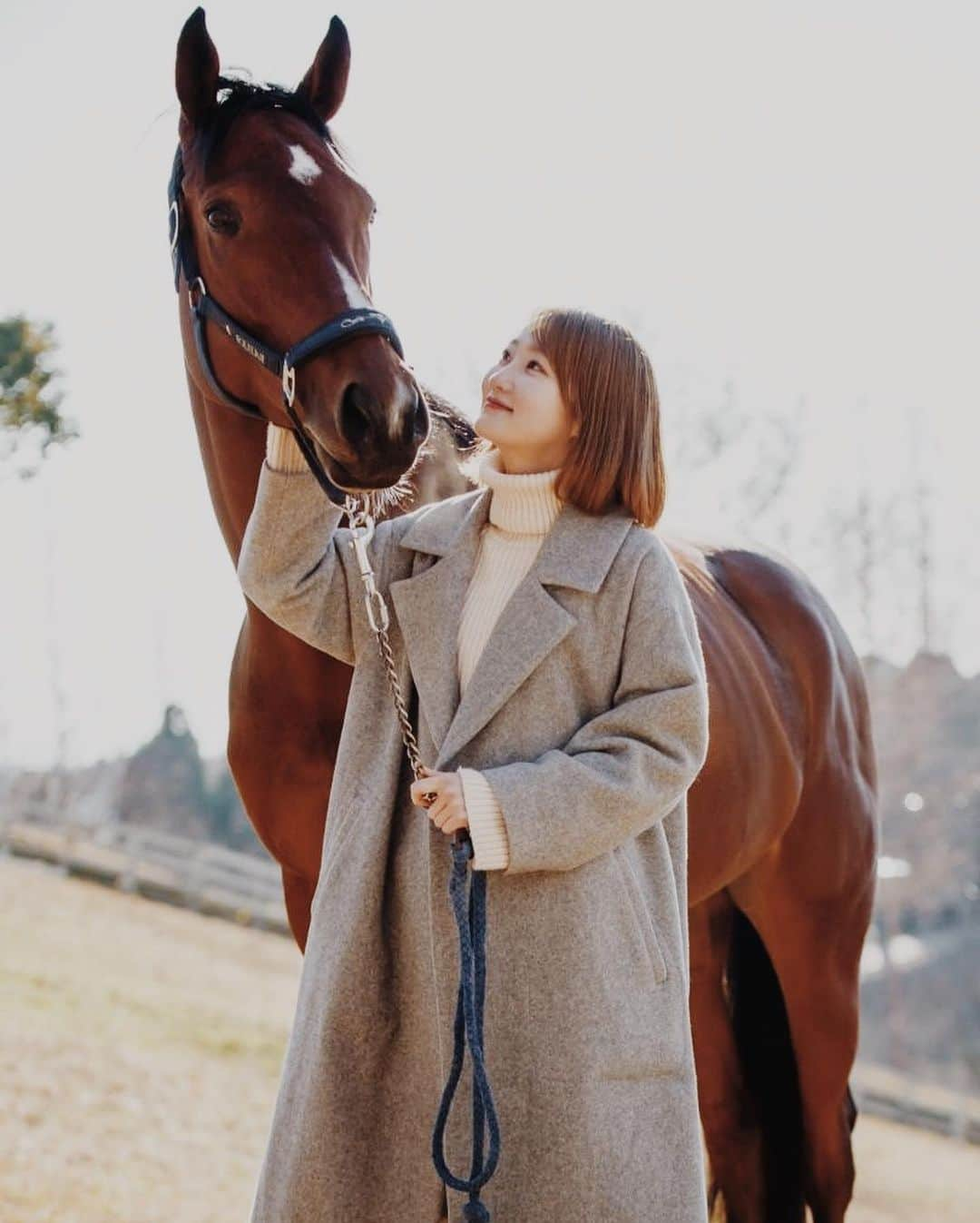 金香里さんのインスタグラム写真 - (金香里Instagram)「🐴🤍  年始に明石乗馬協会にお邪魔させていただきました。 写真を撮ってくださった岩島さん @iwashima.photo  に案内していただき、 お馬さんも沢山いて、スタッフさんも素敵な方々ばかりで、施設もとても立派でした。 家が近かったら間違いなく通い続けたい場所ですね☺️  三木ホースランドパークは圧巻でした。 乗馬も出来て最高の日でした。  次帰省したらまた絶対行きます。  岩島さん、ありがとうございました🕊  写真を一緒に撮ってくれた4頭のお馬さん達もありがとう✨」1月30日 15時46分 - khyangri