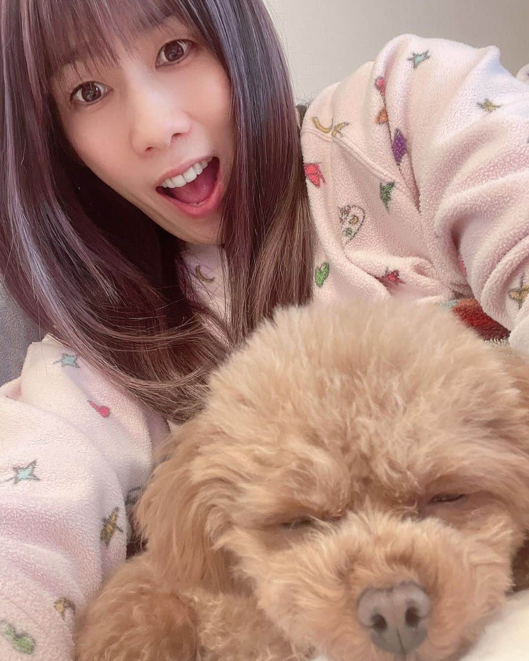 吉田沙保里さんのインスタグラム写真 - (吉田沙保里Instagram)「私の相棒🐶💓 ずっと一緒❤︎❤︎❤︎  #リリー #トイプードル #女の子 #1.8kg #1歳8ヶ月」1月30日 17時37分 - saori___yoshida