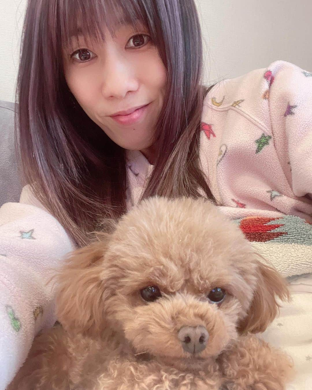 吉田沙保里さんのインスタグラム写真 - (吉田沙保里Instagram)「私の相棒🐶💓 ずっと一緒❤︎❤︎❤︎  #リリー #トイプードル #女の子 #1.8kg #1歳8ヶ月」1月30日 17時37分 - saori___yoshida