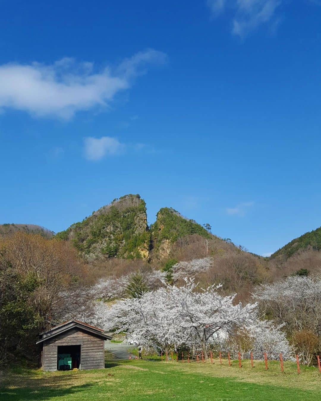 石塚かおりさんのインスタグラム写真 - (石塚かおりInstagram)「#佐渡 「過去写真」  忘年会ツアー25回ほど、八十八カ所霊場巡りツアー8回ほど、そして、春や秋のツアーも10回くらい。 （しっかりした数わからない…）  計算苦手だけど、ざっと数えて延べ人数6000人を越える皆様とできた佐渡の思い出。  このサザエをいただいた時以来行けてない…涙  また、みんなで旅ができますように。  #佐渡島#船#海#灯台#海の幸 #サザエ #佐渡金山#道遊の割戸 #北沢浮遊選鉱場跡#酒蔵#地酒#日本酒 #八十八カ所霊場巡り#佐渡霊場#お寺巡り #第二の故郷 #夏休み 朝から#イカ刺し#サザエご飯#手打ちそば  名ばかりだけど#佐渡観光親善大使 #新潟放送#アナウンサー #石塚かおり  明日からの朝もあなたと #石塚かおりのBrandnewday #ブラニュー」1月30日 18時32分 - kaori_ishizuka413