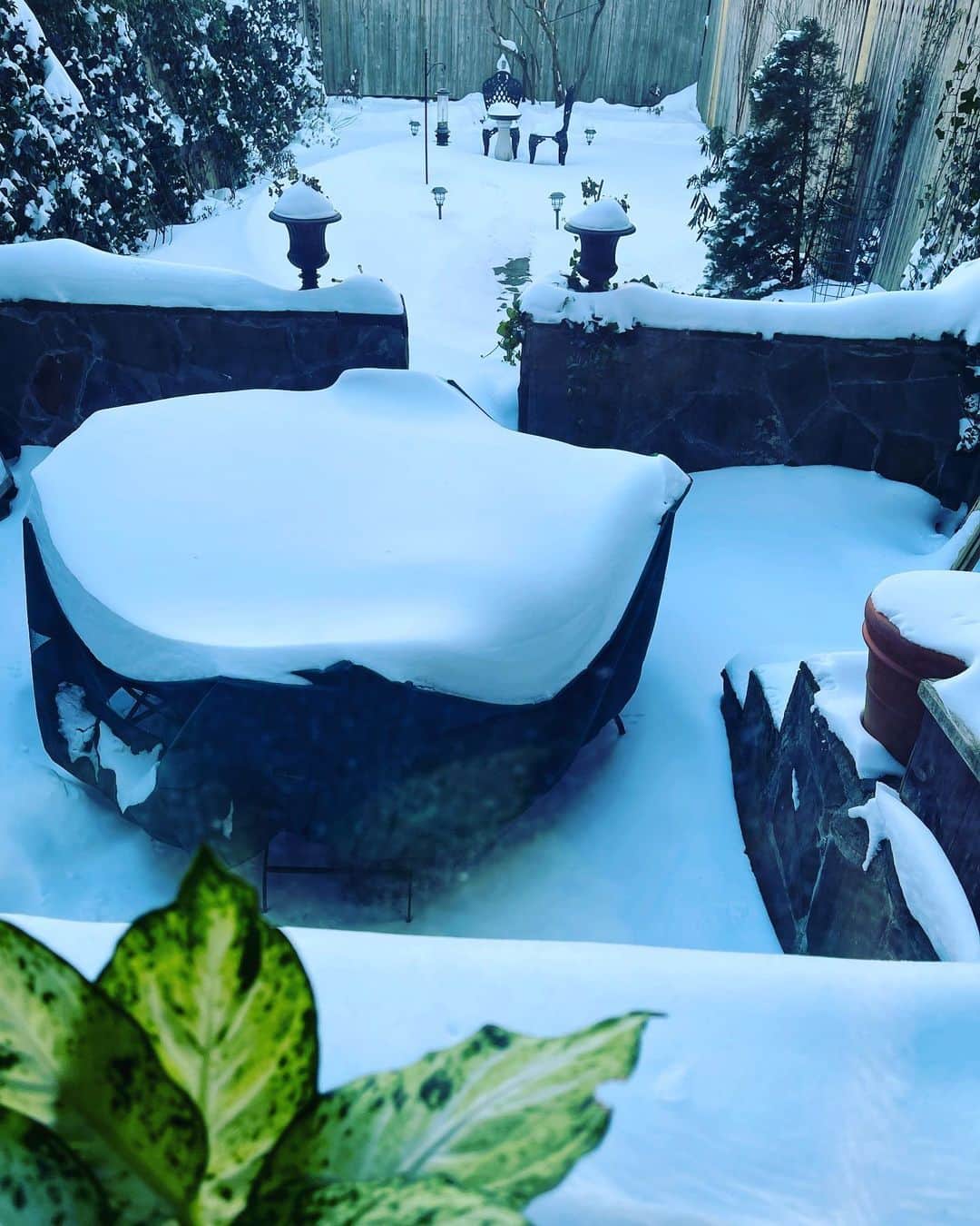 セサラーニのインスタグラム：「#nancysgarden #parkslopebrooklynn#salvatorejcesarani #beatifullday ❄️❄️❄️」
