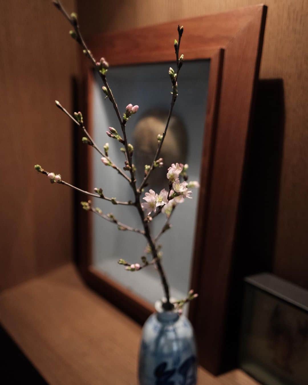 佐野史郎のインスタグラム：「花があると安らぐ。」