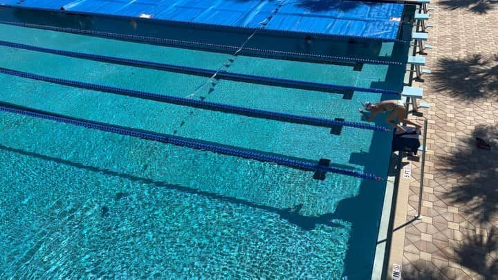 Julieのインスタグラム：「Best thing about swimming during this Florida cold-wave is that no one is around 😅 . . . . #swimmer #summerjulep #swimming #swim #swimlife #swimmersofinstagram #instaswim #instaswimming #mastersswimming #instaswimmer #usaswimming #swimtraining #swimpractice #myswimpro」