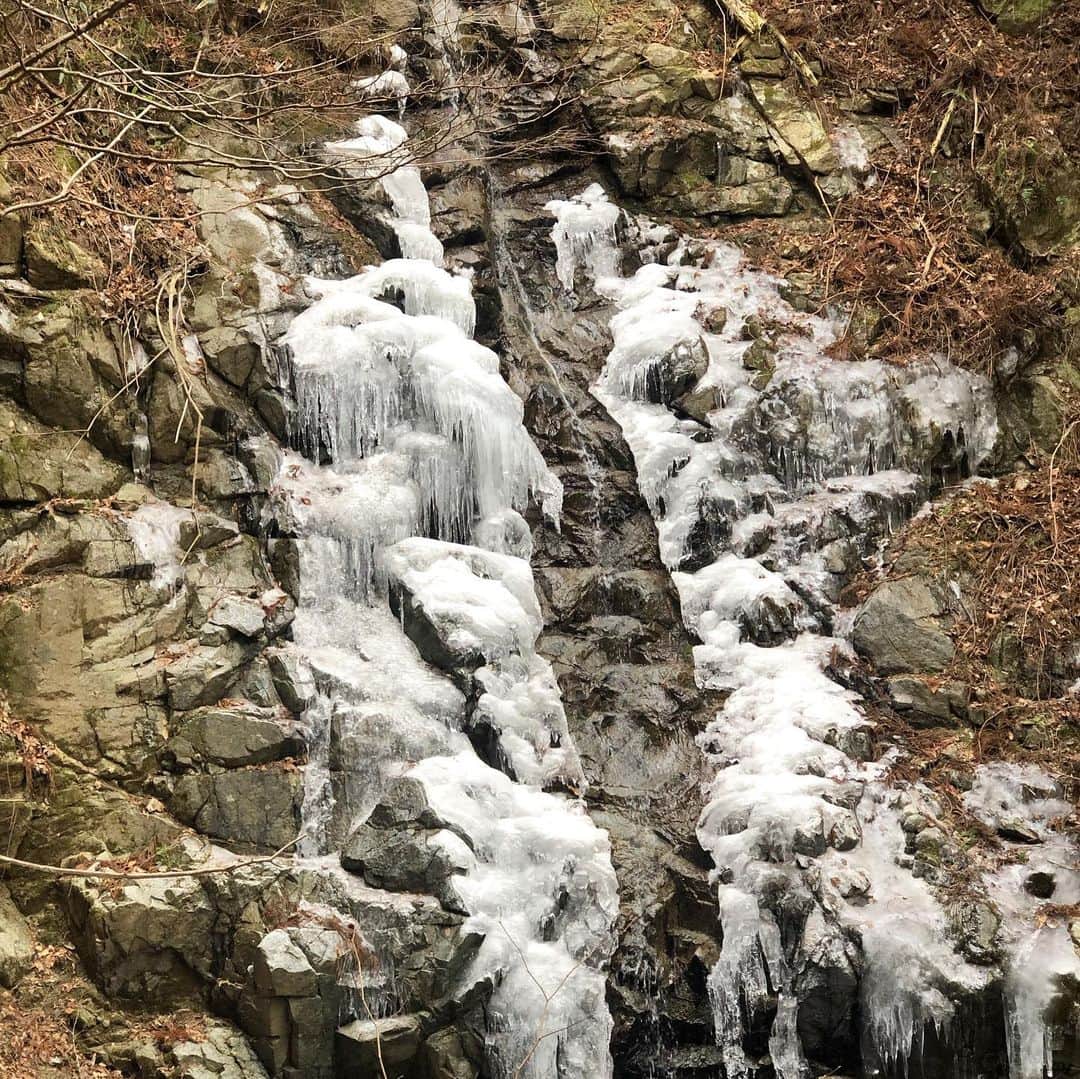 外村久美子さんのインスタグラム写真 - (外村久美子Instagram)「・ 氷瀑を見に冬の山に⛰ ・ ・ #氷瀑 #たろーしんの冬」1月31日 21時58分 - kummy153