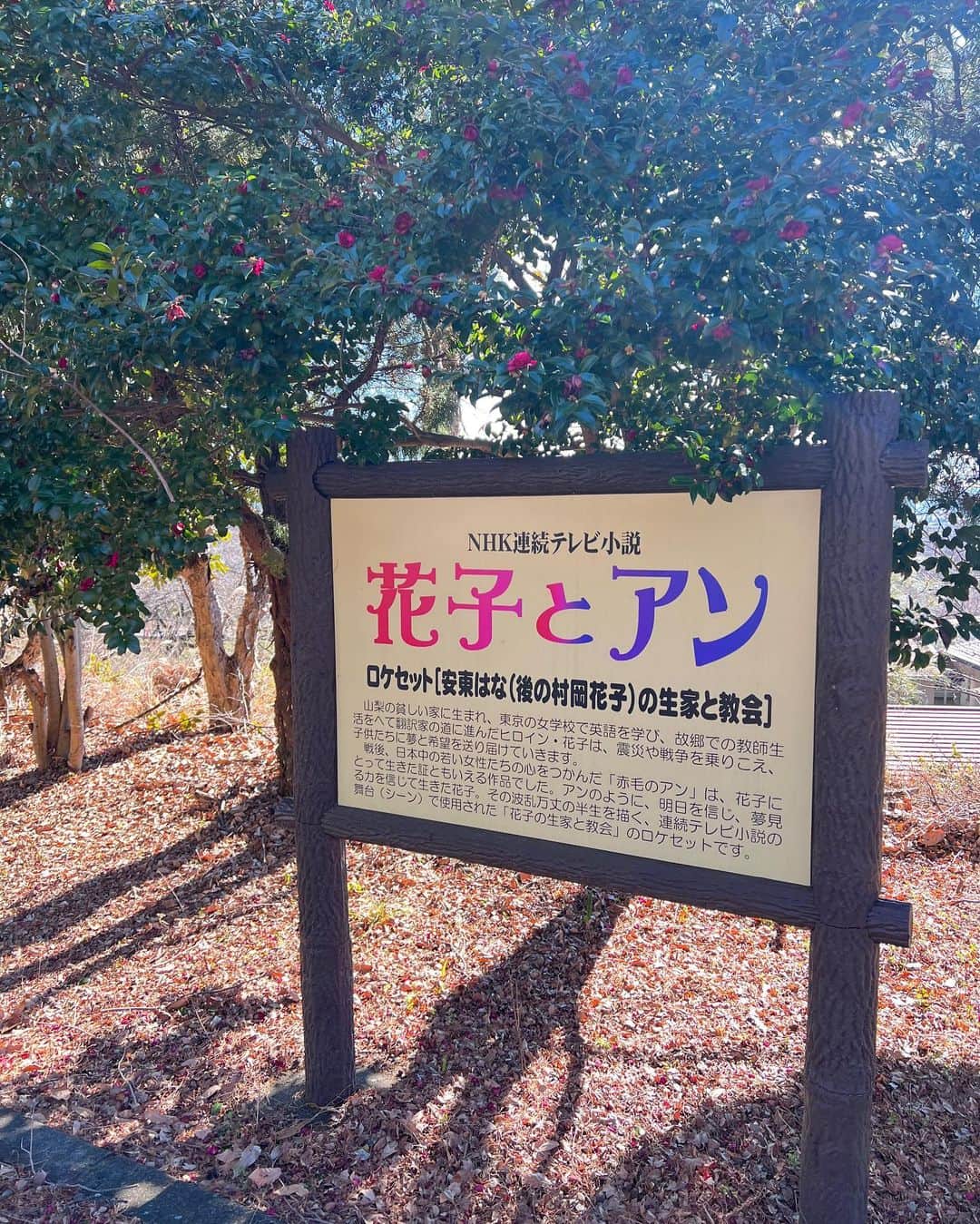 若尾綾香さんのインスタグラム写真 - (若尾綾香Instagram)「☆  𝐍𝐢𝐫𝐚𝐬𝐚𝐤𝐢☘︎︎ 【韮崎11(イレブン)歴史探訪】 2月は藤井町です🍃 中央公園のシンボル的な存在の“機関車🚂” ヴァンフォーレ甲府が練習場としても使ってるそうです！ NHK“花子とあん”のロケセットがあったり 町のみなさんにお話も聞けて 初めて知る事がたくさんありました。 毎日放送されているのでチェックしてね！  YouTubeでも見れるのでチェックしてみてください！ 今年も番組をよろしくお願い致します💓  #山梨放送#衣装#韮崎市#親善大使 #武田の里サッカーのまちにらさき親善大使 #ヴァンフォーレ甲府」1月31日 23時12分 - ayaka_wakao