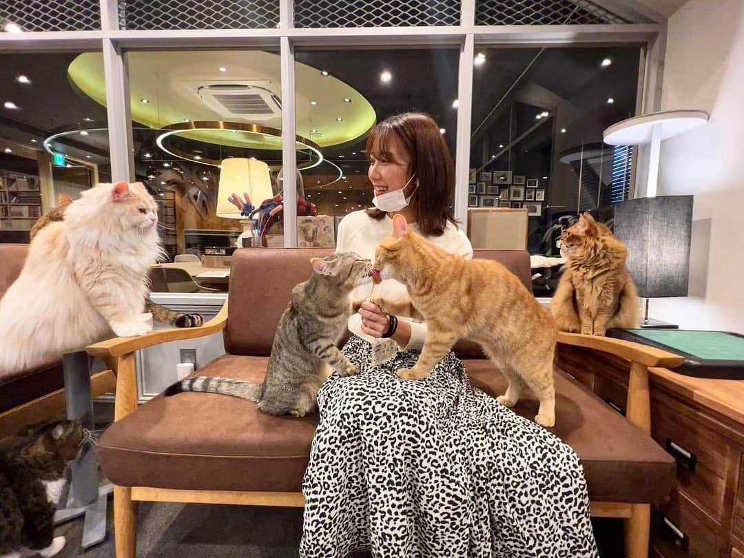 Moka さんのインスタグラム写真 - (Moka Instagram)「にゃ〜🐈  猫カフェMOCHAラウンジ渋谷公園通り店にいってきたよ！ @mocha.koendori   前から私とおんなじ名前だ〜って気になってたお店🔍  猫ちゃん飼いたいけどマンション的に...とかの子がここでリモートワークできたりしちゃうような快適さ。  今度普通に友達とボードゲームしにいく✌︎  癒しをありがとうございました♡  #猫カフェmocha #猫カフェ #PR #渋谷猫カフェ #渋谷カフェ #猫 #猫ちゃん #猫好き #猫のいる暮らし #猫スタグラム #猫部」2月15日 21時05分 - moka_030n