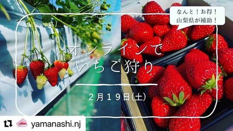 浅利そのみのインスタグラム