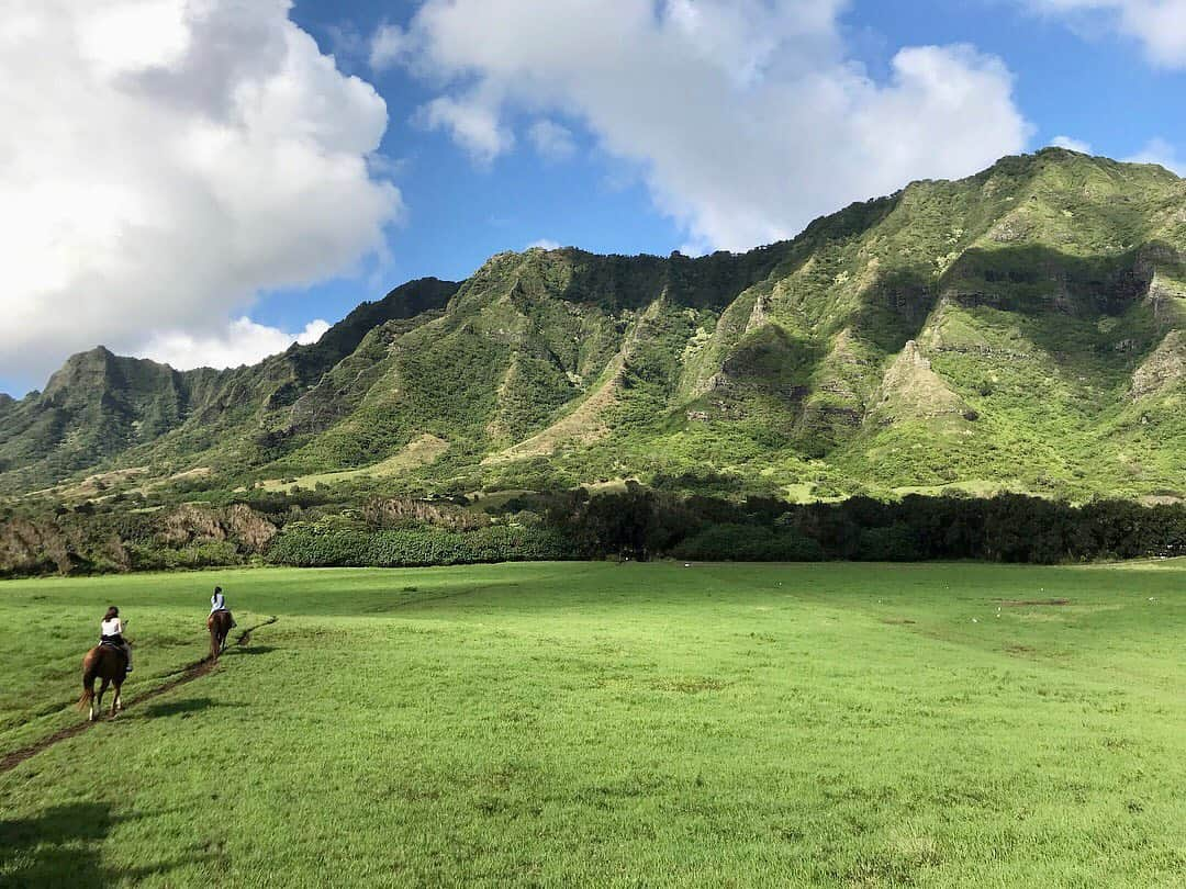 内田侑希さんのインスタグラム写真 - (内田侑希Instagram)「昔の写真を見返してると、旅行に行きたくなる〜  ここハワイの大好きな場所☀️クアロアランチ 空が広い✨  2時間の乗馬もあっという間に感じるくらい雰囲気が良かったなぁ🐴」2月1日 12時44分 - uchida_yukkii