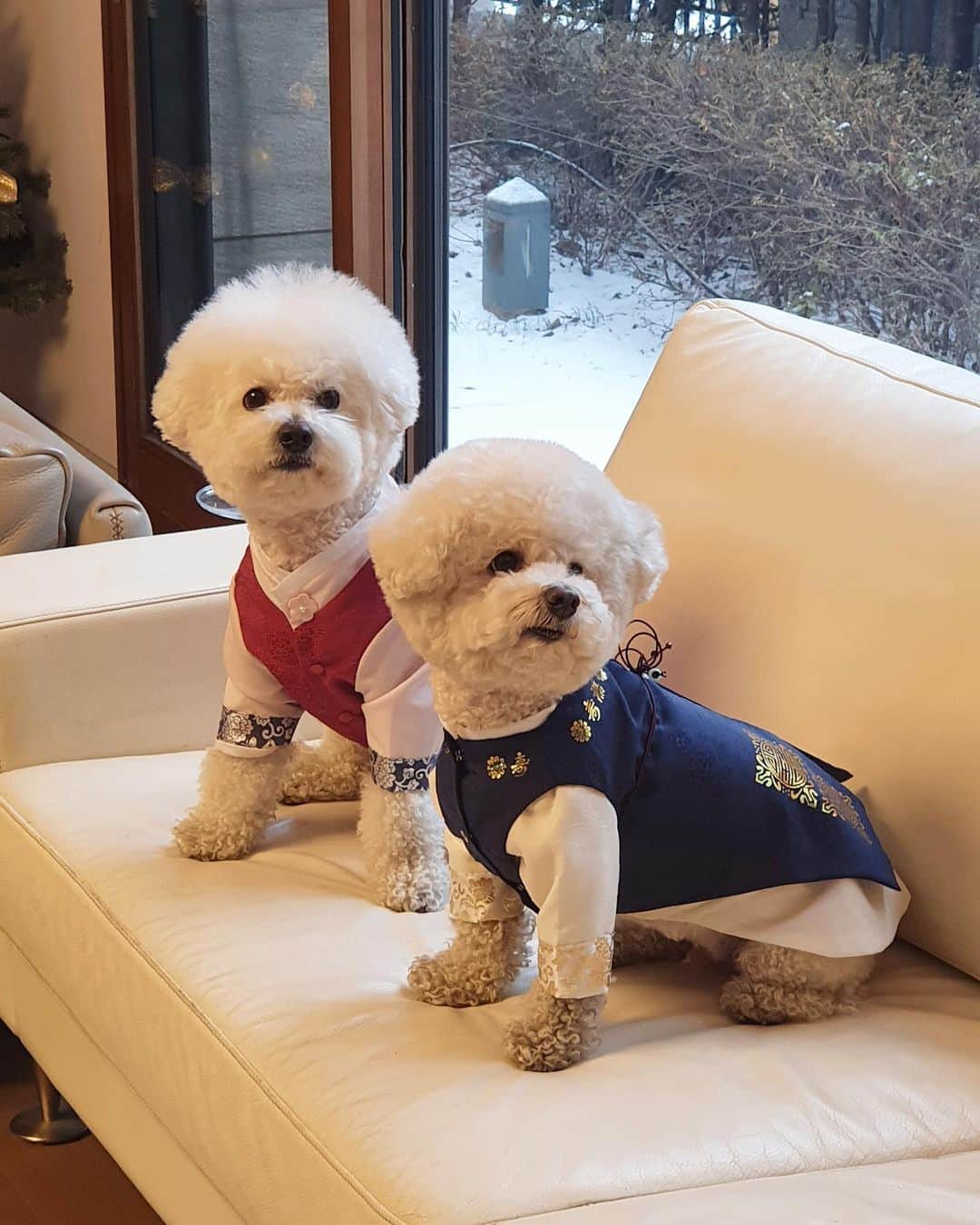 シン・セギョンのインスタグラム：「새해 복 많이 받으세요💛」