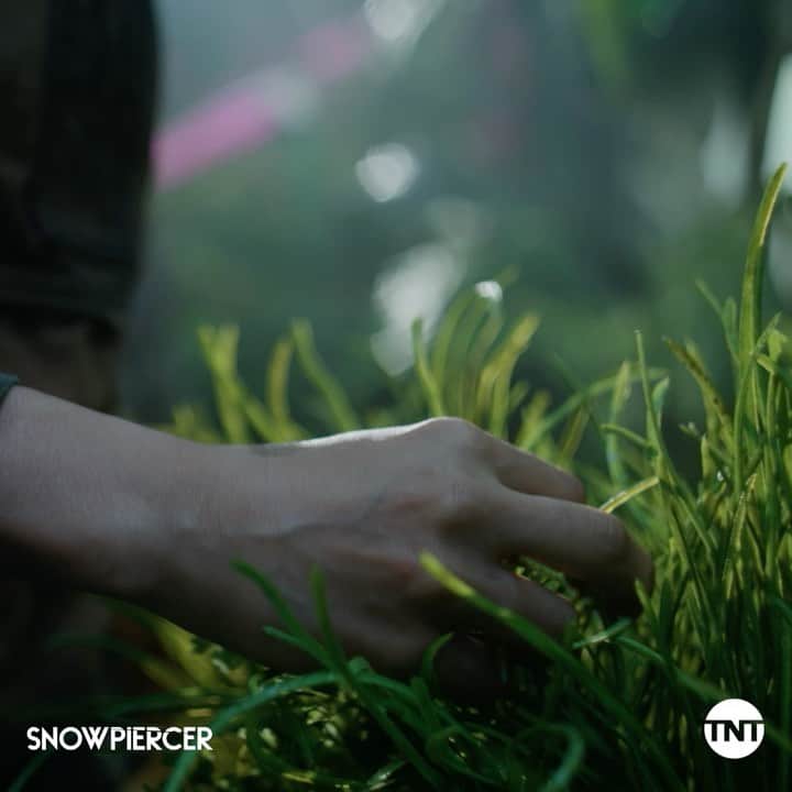 アーチー・パンジャビのインスタグラム：「Meet the mysterious survivor @SnowpiercerTV tonight at 9/8c on @tntdrama 😉」