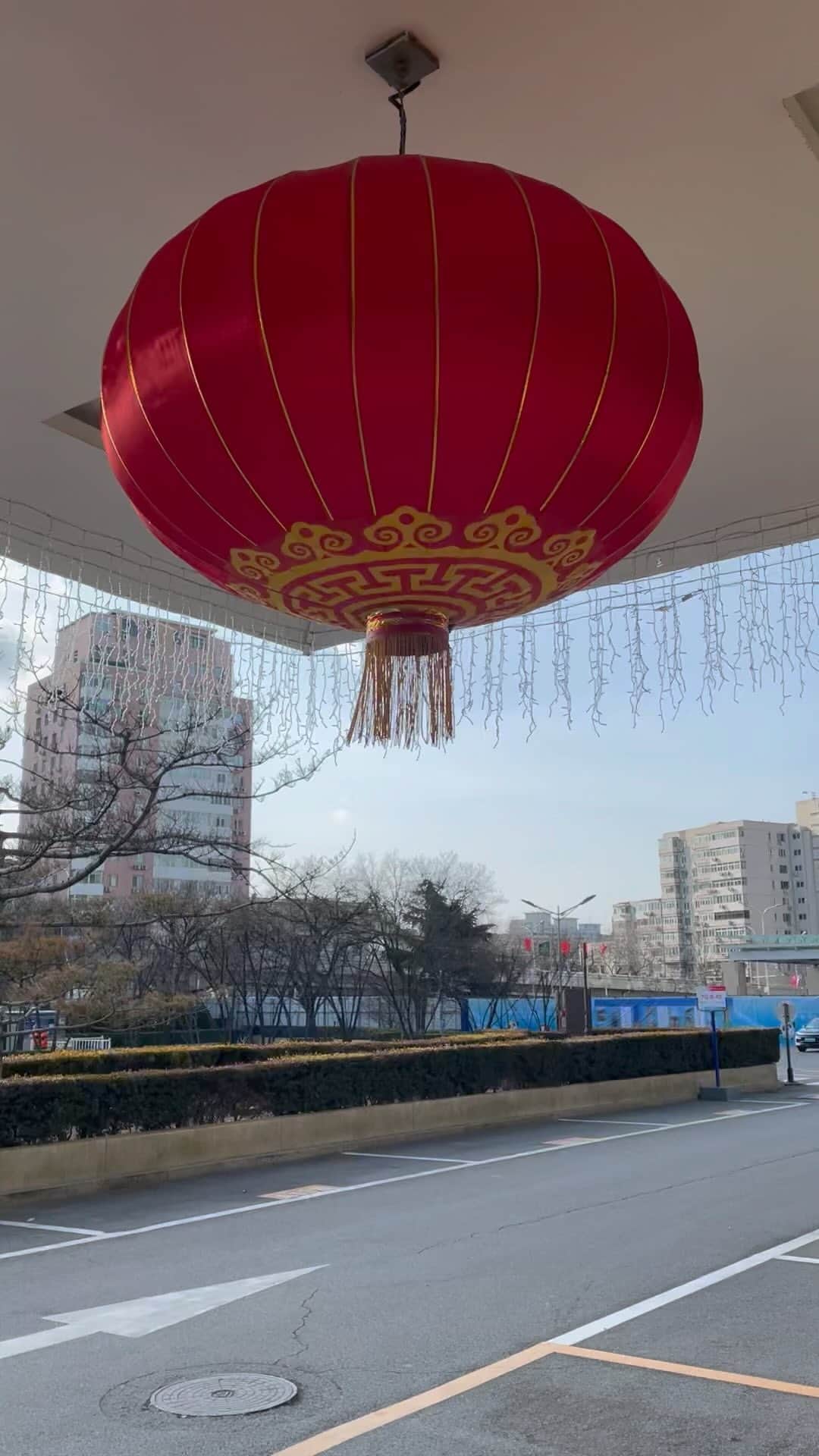 大町怜央のインスタグラム：「昨日は中国の旧正月前の大晦日。 ということで、色々な建物の前に赤いランタンがかけられています🏮  ホテルの前にも大きなものがかけられていました！  #旧正月 #風強くて揺れる #異文化体験」