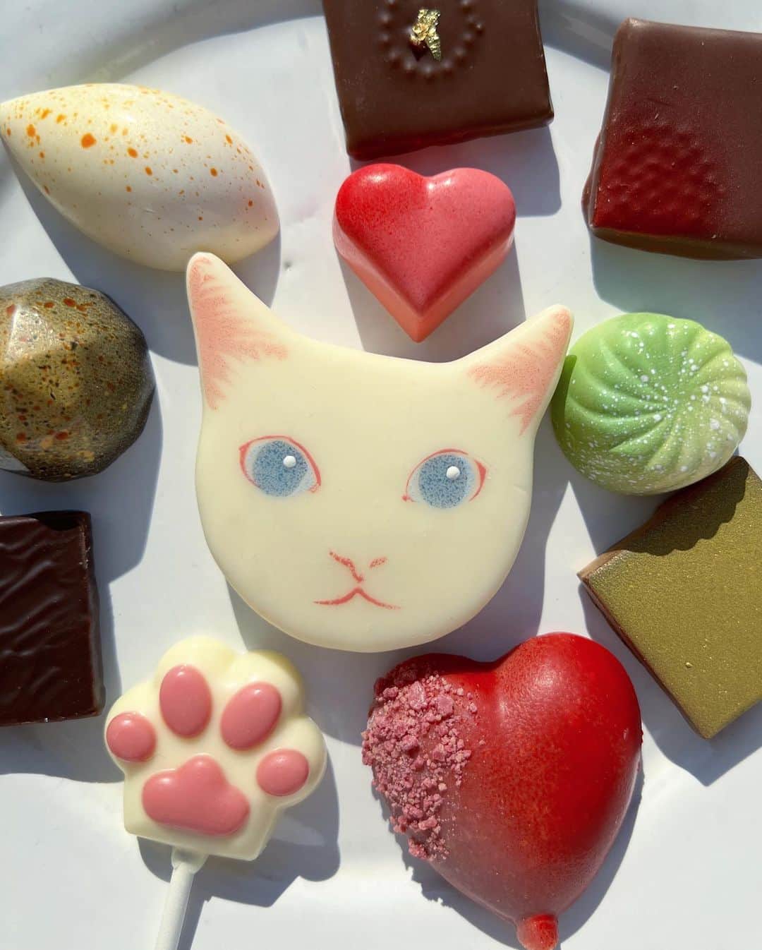ダニョ（鈴木えみ）さんのインスタグラム写真 - (ダニョ（鈴木えみ）Instagram)「ぼくがチョコになったにょ🍫 ぼくは食べられないけど、甘いぼくを食べてあまーい気持ちになってくれたら素敵なことだにょ！ニヤリ #danyo #danyocawaii #munchkin #whitecat #catstagram #catlovers #chocolate #chocolatecat」2月1日 21時31分 - danyostagram