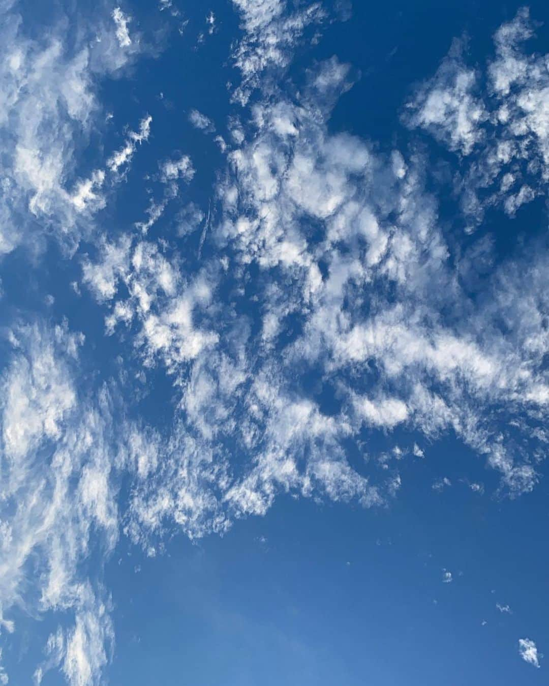 一条ありささんのインスタグラム写真 - (一条ありさInstagram)「Sky⛅️☀️」2月1日 15時01分 - arisa_ichijou