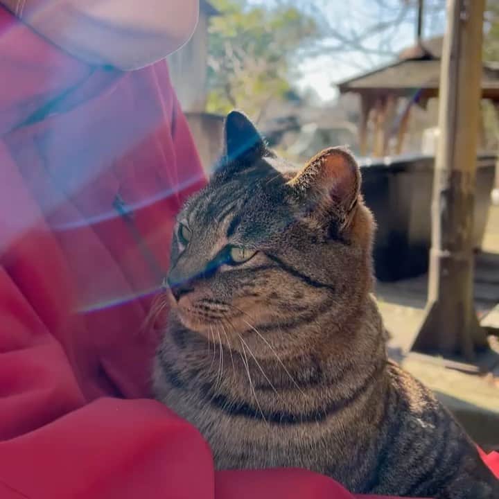 マル子のグルメインスタ