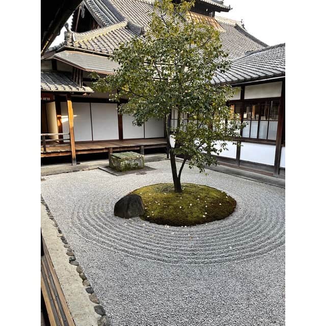 辺見えみりさんのインスタグラム写真 - (辺見えみりInstagram)「あぁ〜また京都に行きたい🥲♡ 写真見てたら行きたくなってきちゃいました… (1月初めに行った写真です)  京都に行くと、 祖父祖母を思い出し、自分が小さい頃遊びに行ったことを思い出す大切な場所。  知らない京都も またいいですね😌 早くまた行けます様に…✨」2月1日 19時04分 - emiri_hemmi