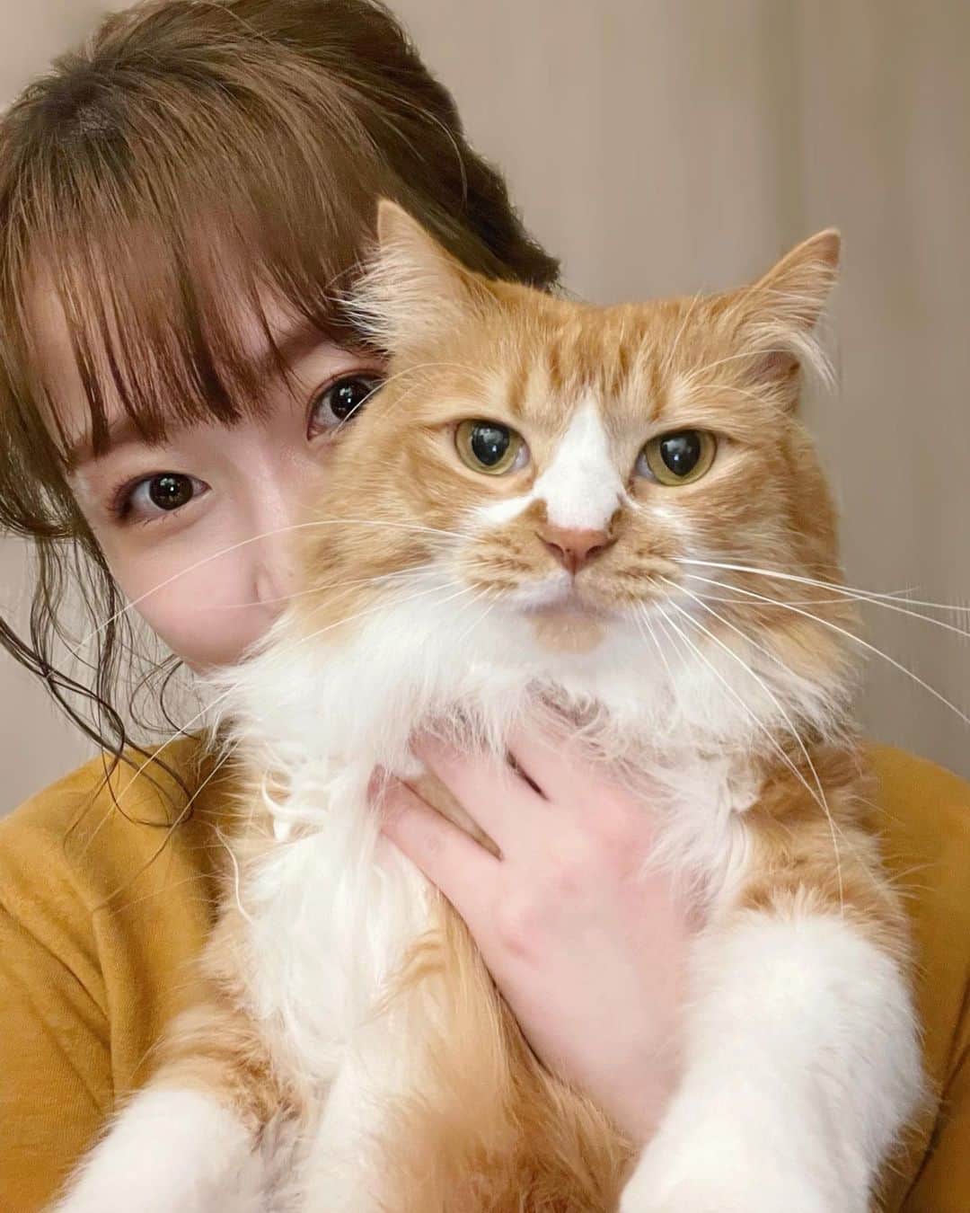 津田麻莉奈さんのインスタグラム写真 - (津田麻莉奈Instagram)「#うちの虎太郎くん  と、  #その下僕  −−−−−−−−−−−−−−−−−−−−−  #虎太郎 #こたろう #雑種猫 #ミックス猫 #ねこ　 #ねこ部 #ねこすたぐらむ　 #猫#猫好き #catstagram #catphoto  #catlover#고양 #instacat#cat #まりなる #津田麻莉奈」2月1日 20時32分 - tsudamarinal