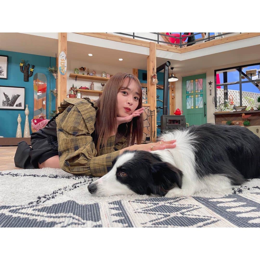 近藤千尋のインスタグラム：「テスちゃんとわたし🐶❤️ 今日もスロイジ @0245slow_easy_routine  ありがとうございました😭💦 先月は胃腸炎でご迷惑をかけてしまい… いつもあたたかい現場で幸せです💓  衣装はこんな感じでした❤️  ウェア @ganni  アクセサリー @e.m.portrait  シューズ @charleskeith_jp」