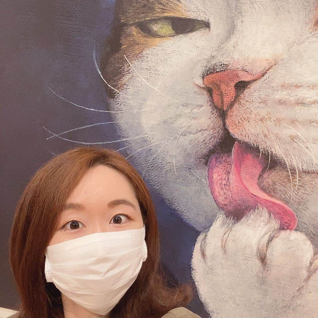 堀池真緒さんのインスタグラム写真 - (堀池真緒Instagram)「ニャー🐈展！行ってきたよ〜🐈‍⬛🐈‍⬛🐈‍⬛ 近々ブログにも書きます✒︎  #富山県美術館 #美術館 #絵本原画ニャー #絵本原画ニャー展 #ニャー展 #ネコヅメのよる #うきわねこ #11ぴきのねこ #富山 #富山県 #富山市 #toyama #アートな時間」2月1日 21時22分 - horiikemao