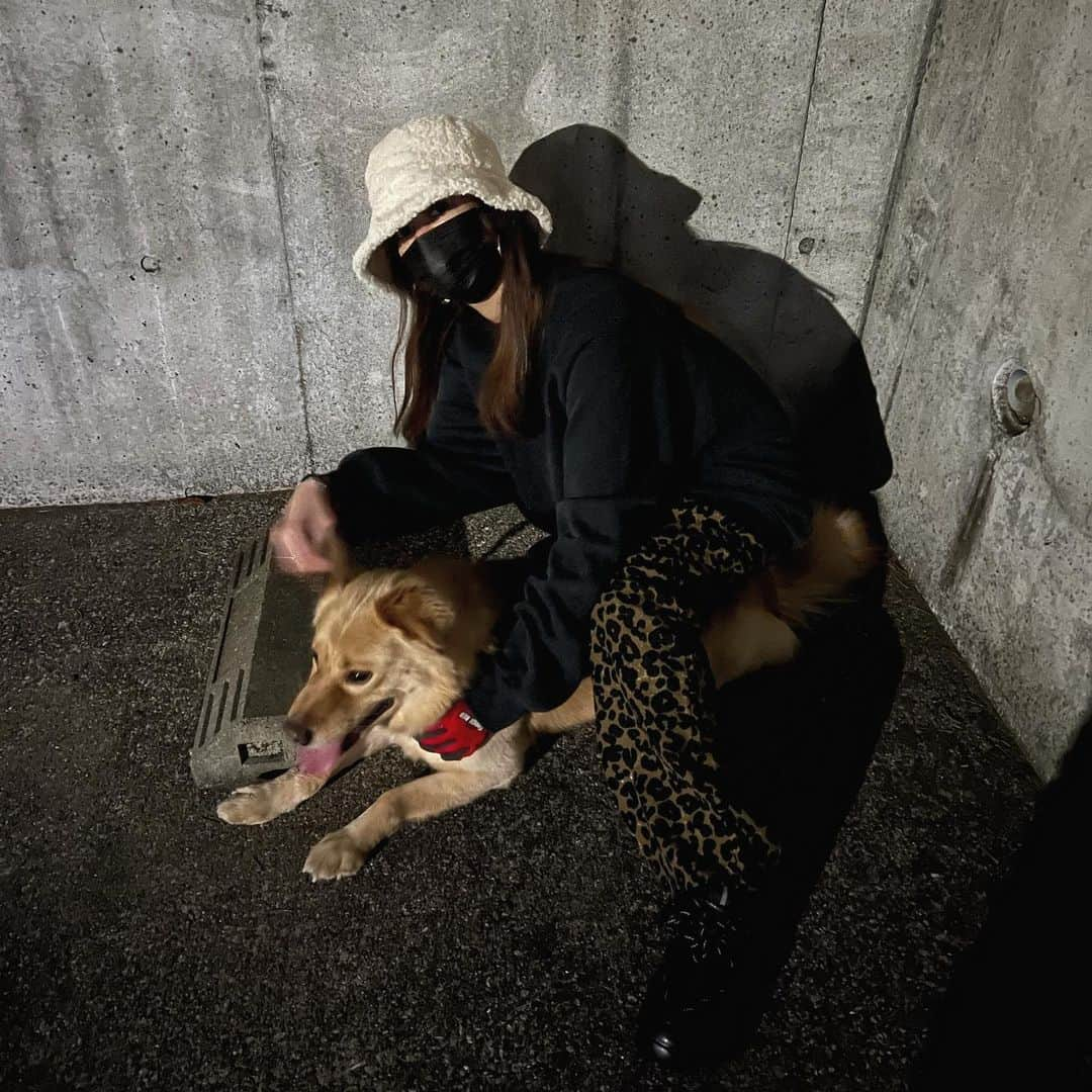 松林彩さんのインスタグラム写真 - (松林彩Instagram)「あけましておめでとうございます🐕 もう2月だなんて気にしない💭 バズももうすぐで８歳🥲大きくなったね🐕❤︎ 大好きよ〜🐕 #ラブラドール #ミックス犬」2月2日 1時04分 - ayamatsu05