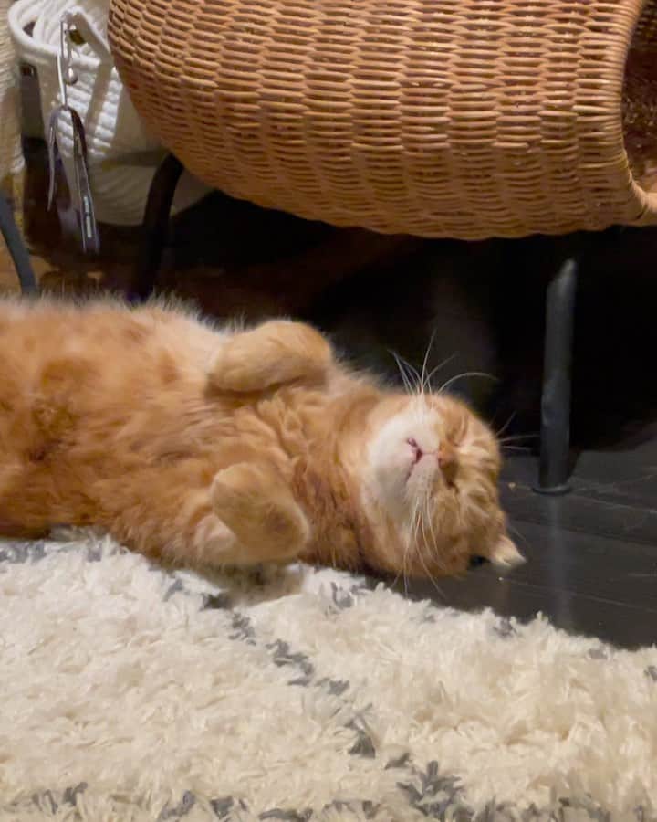 ありおときなこのインスタグラム：「お父さん、おつかれさま😴」