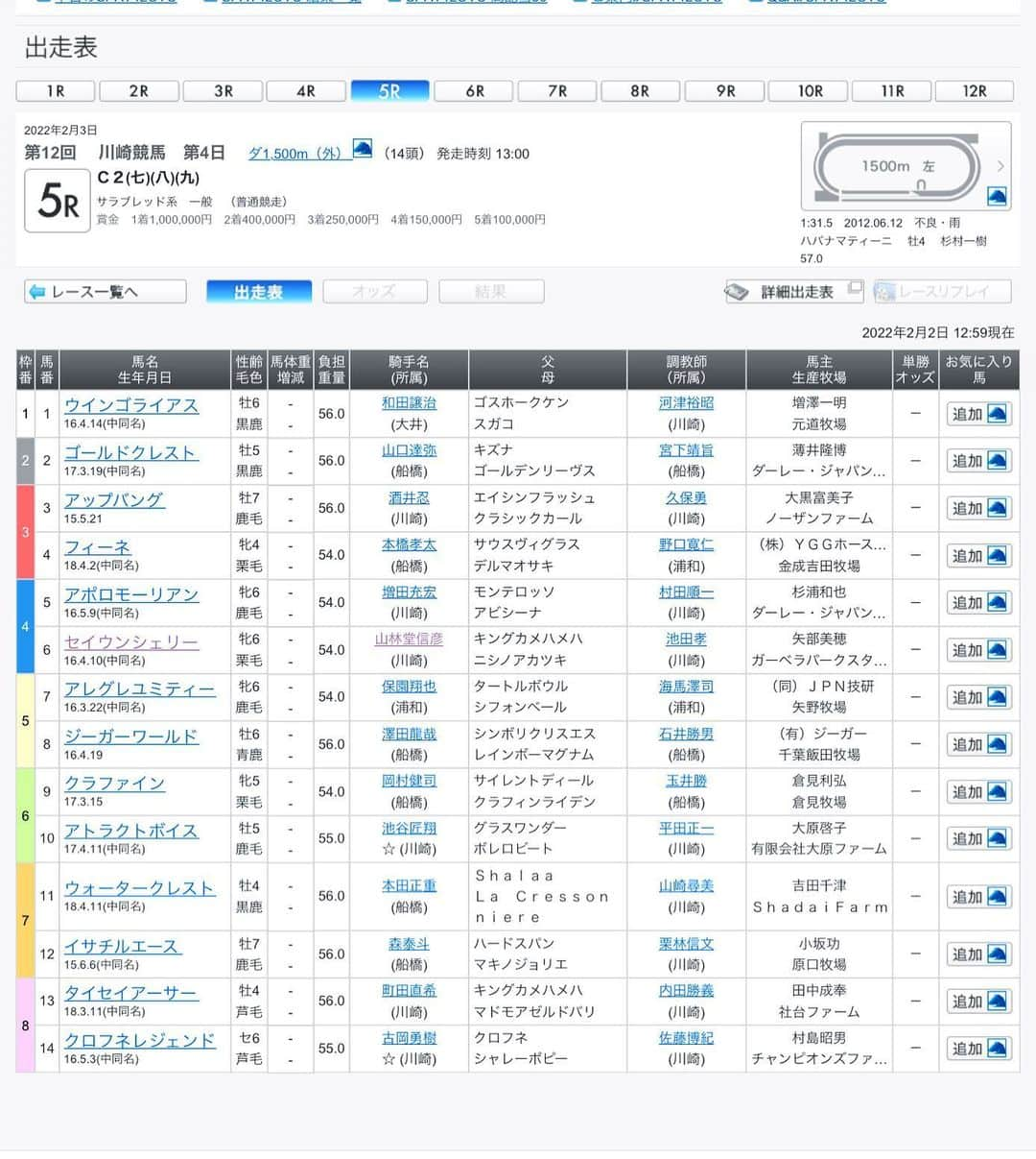 矢部美穂さんのインスタグラム写真 - (矢部美穂Instagram)「さて、明日は川崎競馬場の5レースに愛馬 セイウンシェリーが出走します✨ 正直、前走の勝ち馬もいますしさらに強そうな馬が1頭います💦  しかし、競馬は走ってみないとわからないので 応援へ行きますよ💖 今日もお世話になっている馬主さんの愛馬が 山林堂騎手で4.5と2連勝でした🥇  特に4レースの永谷さんの愛馬トルトゥーガは 単勝万馬券での勝利🥇 だから、競馬ってわからないものだし面白いしそのドラマが見たくなるんです✨  #川崎競馬場  #愛馬 #馬主ライフ #チーム地方競馬 #PR　 @nar_keiba_official  #40代  #矢部美穂」2月2日 13時54分 - miho.yabe.0607