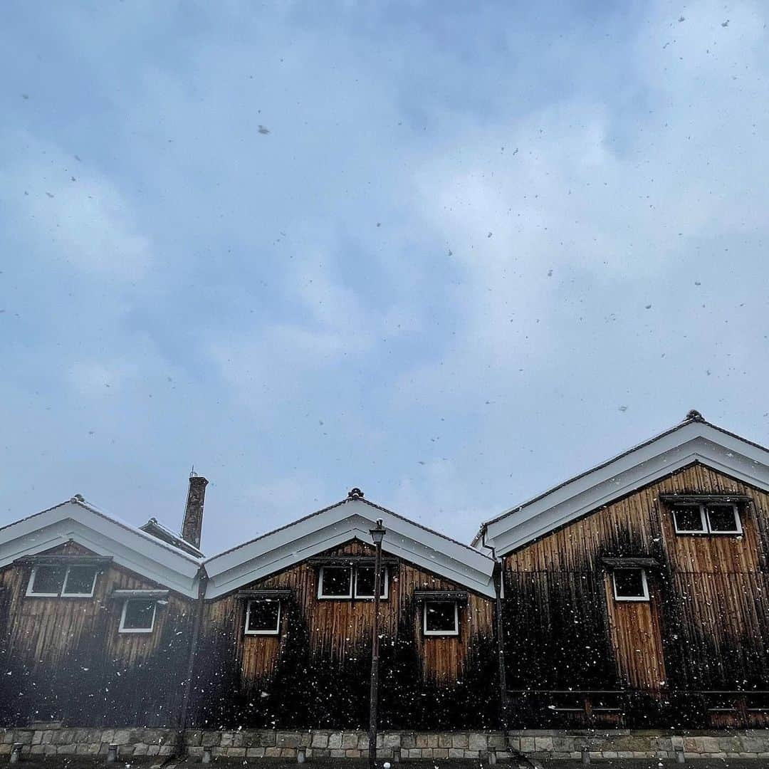 Gekkeikan Sake Officialさんのインスタグラム写真 - (Gekkeikan Sake OfficialInstagram)「#snow #snowy #snowscape #snowworld #winter #gekkeikan #gekkeikansake #sake #japanesesake #sakebrewery #sakegram #japan #kyoto #fushimi #cooljapan #japanesestyle #雪 #雪景色 #月桂冠 #月桂冠大倉記念館 #日本酒 #清酒 #酒蔵 #京都 #伏見」2月2日 20時00分 - gekkeikansake