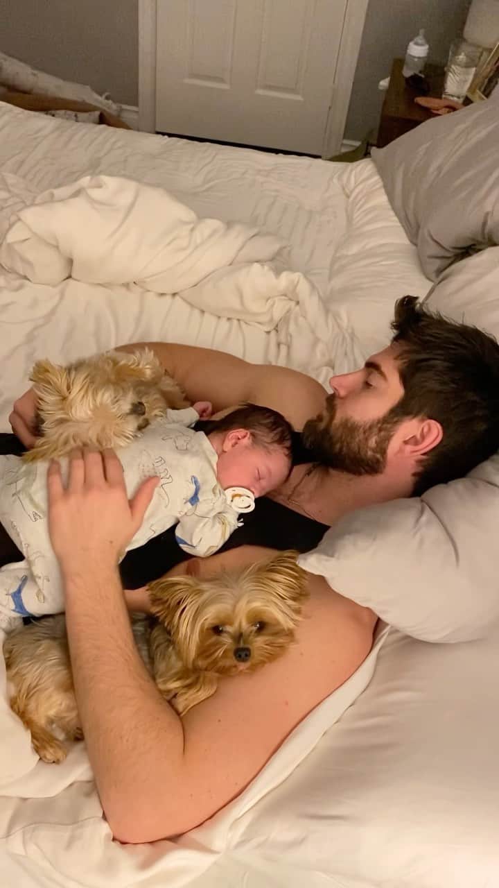 ニック・ベイトマンのインスタグラム：「Early Morning with Theo and the Fur Monkeys 💤」