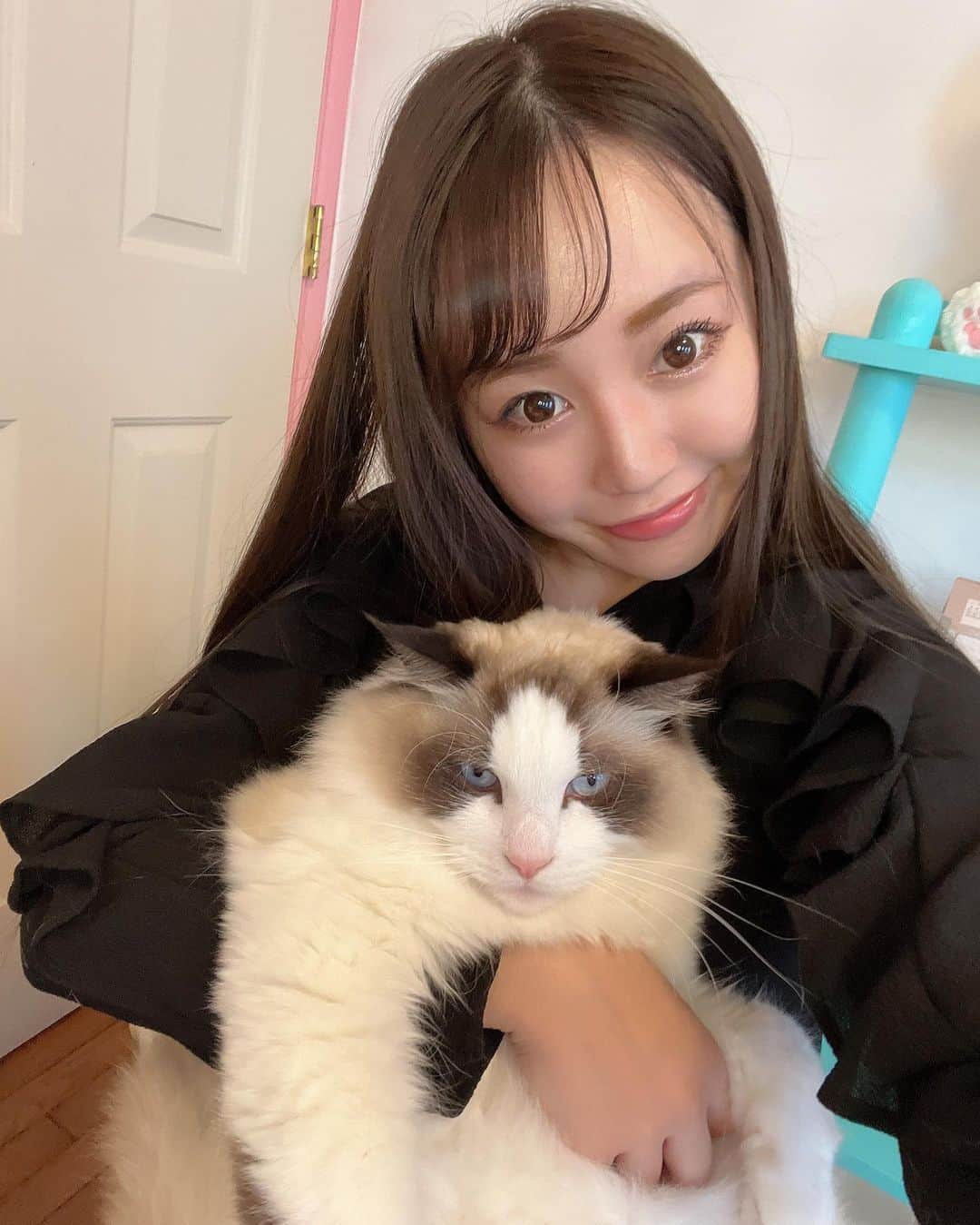 愛場れいらさんのインスタグラム写真 - (愛場れいらInstagram)「おはよう🍓🐈 今日も頑張ろう🍫 . . #愛猫　#インフルエンサー　#モデル　#撮影モデル  #japanesegirl #asianmakeup  #美容　#可愛い女の子  #ファッション　#猫好きさんと繋がりたい」2月3日 10時49分 - aibareira2