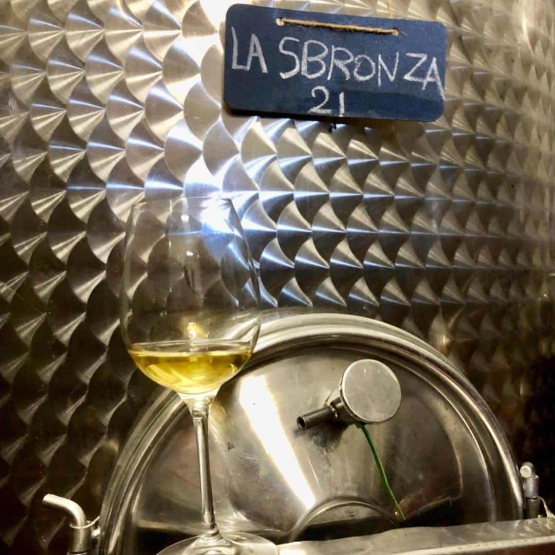 ダリオ・ダイネッリさんのインスタグラム写真 - (ダリオ・ダイネッリInstagram)「Oggi e’ nata “ La Sbronza “ 🎉😍🎉 @cantinadainelli  #isoladelgiglio #ansonicadelgiglio #wine …aspettando i fratellini🍷🍷🍷」2月3日 7時35分 - dainored