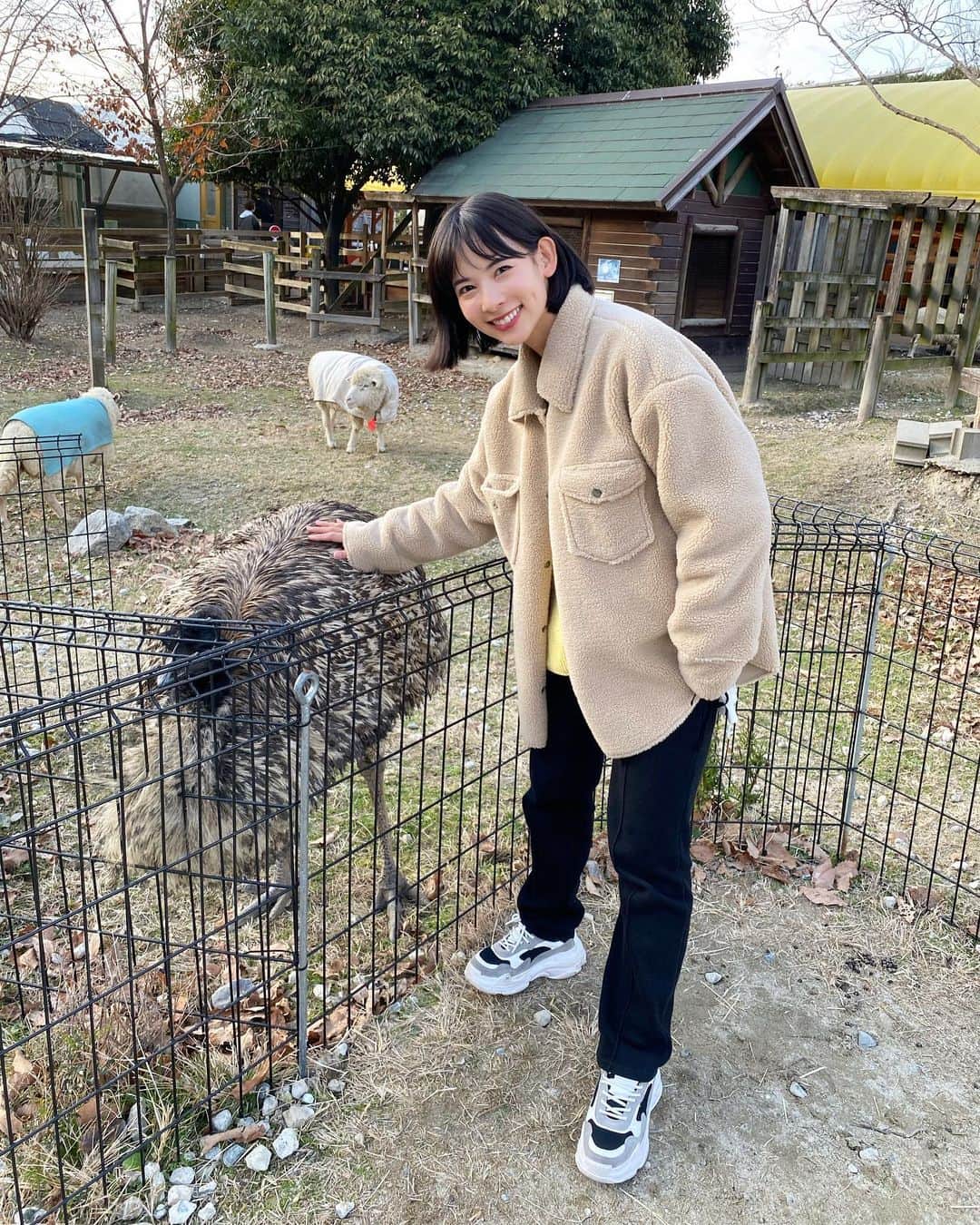 阪本智子のインスタグラム