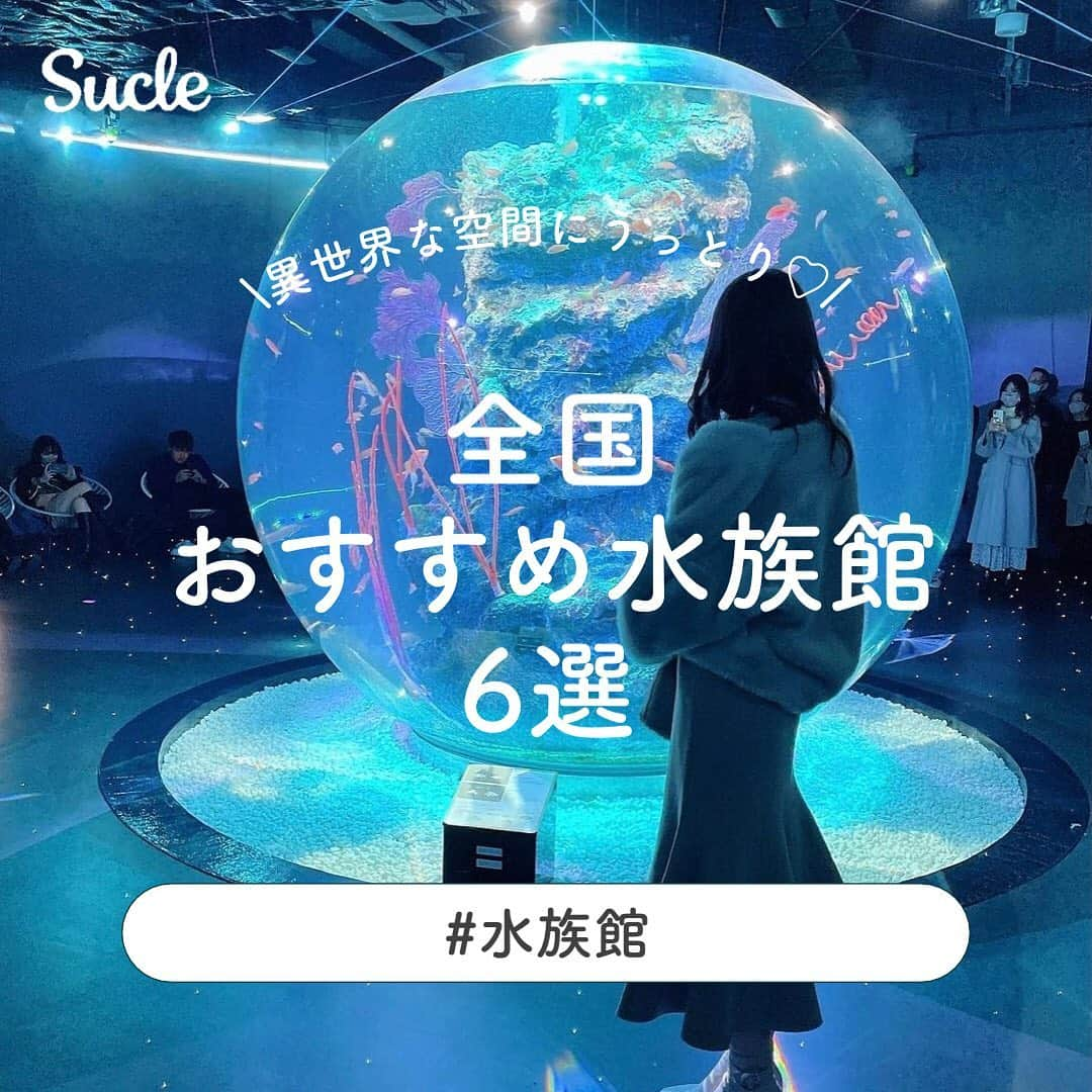 SUCLEのインスタグラム