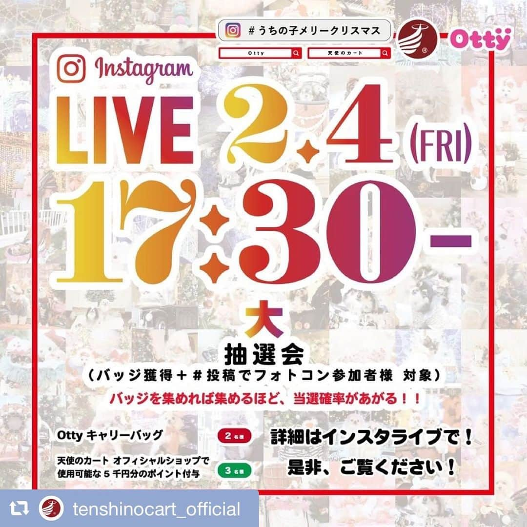 大原かおりのインスタグラム：「インスタライブのお知らせ🐶❤️ #うちの子メリークリスマス のインスタイベントに ご参加くださった皆様ありがとうございました😊💕 ☺︎ クリスマスフォトコンと共に、 缶バッジをGetして頂いたプレゼント抽選会を♡♡♡ 📣2月4日(金)17時30分から📣 セレブなペット専門ブランド『天使のカート』さんと、 インスタLIVEにて生抽選会配信を致します🐶🛒💕 @tenshinocart_official ☺︎ 「バッジをGetしたけど…この時間は見れない💦」という方もご安心ください☺️❤️ 当たった方には抽選後にご連絡をさせて頂きまして 後日商品をお送り致します🙋‍♀️💝 ☺︎ フォトコンの入賞者も決まりましたので、そちらの発表方法などもインスタライブでご報告させて頂きます🐶🏅 今年初の天使のカートさんとのインスタライブで愛犬家の皆様とセッション出来るのを楽しみにしています😘🐶 . #天使のカート #Otty #抽選会 #うちの子メリークリスマス #インスタライブ #インスタライブ生配信 #🐶 #🛒」