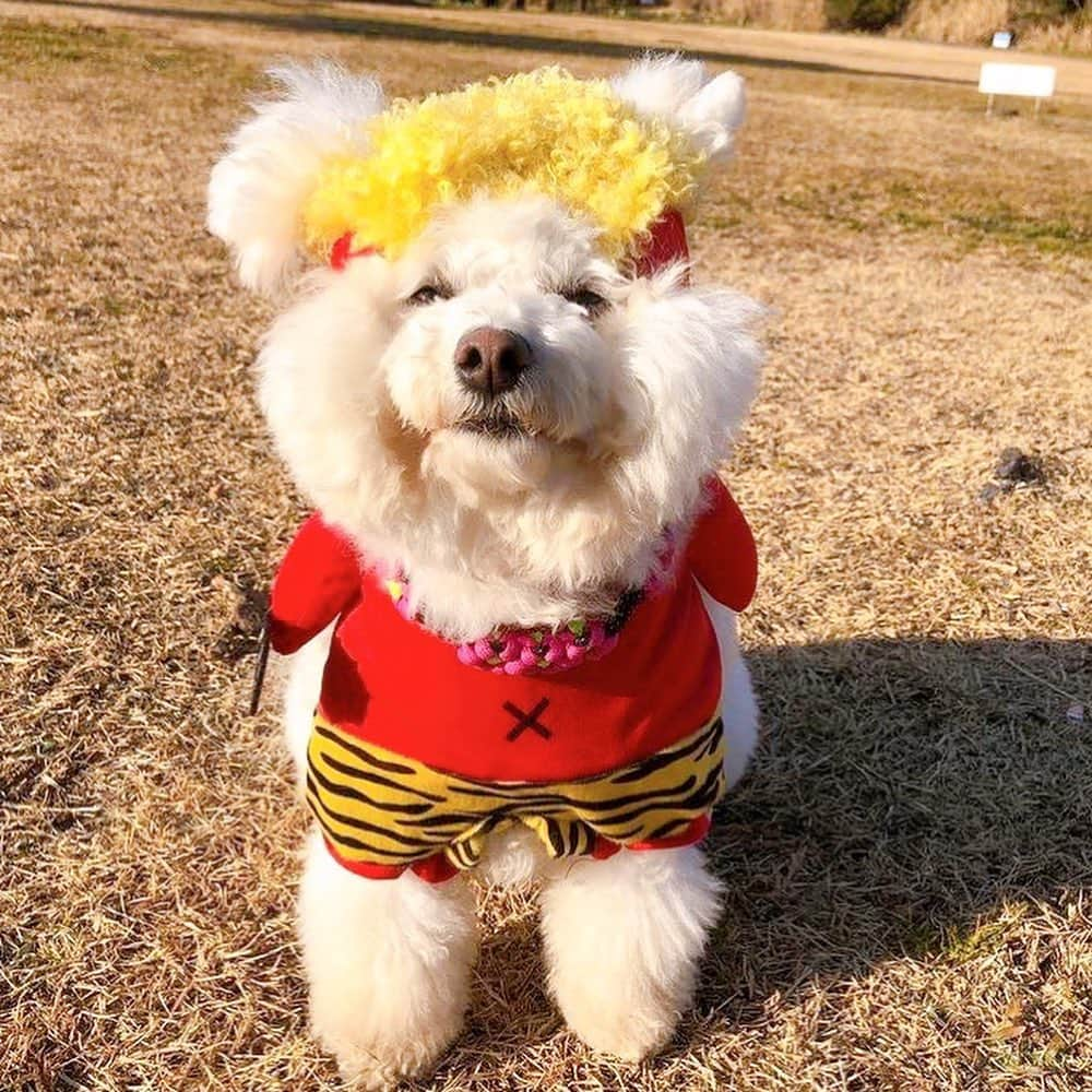 宇内梨沙さんのインスタグラム写真 - (宇内梨沙Instagram)「節分の日  鬼は外〜福は内〜犬も内〜🐶♪」2月3日 16時09分 - risaunai